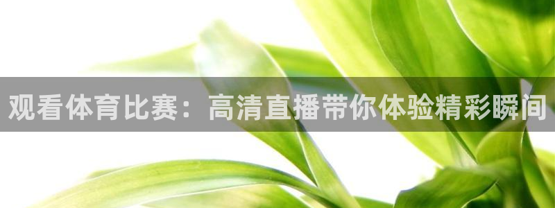 蓝鲸体育直播间：观看体育比赛：高清直播带你体验精彩瞬间
