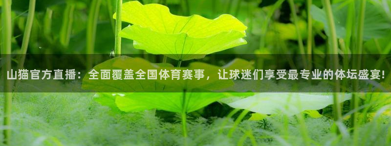 蓝鲸体育在线直播：山猫官方直播：全面覆盖全国体育赛事，让球迷们享受最专业的体坛盛宴!