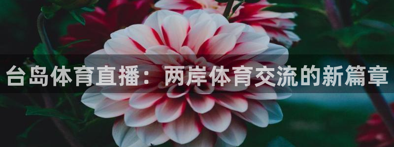 蓝鲸直播安卓版：台岛体育直播：两岸体育交流的新篇章