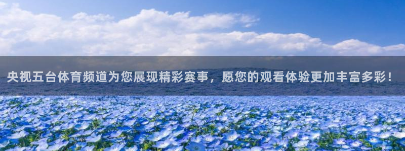 蓝鲸体育直播在线观看免费：央视五台体育频道为您展现精彩赛事，愿您的观看体验更加丰富多彩！