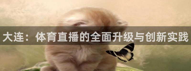 蓝鲸体育免费直播入口：大连：体育直播的全面升级与创新实践