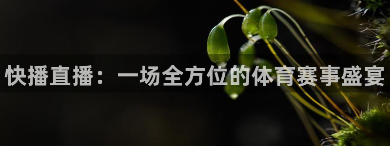 蓝鲸体育网球直播在线观看：快播直播：一场全方位的体育赛事盛宴