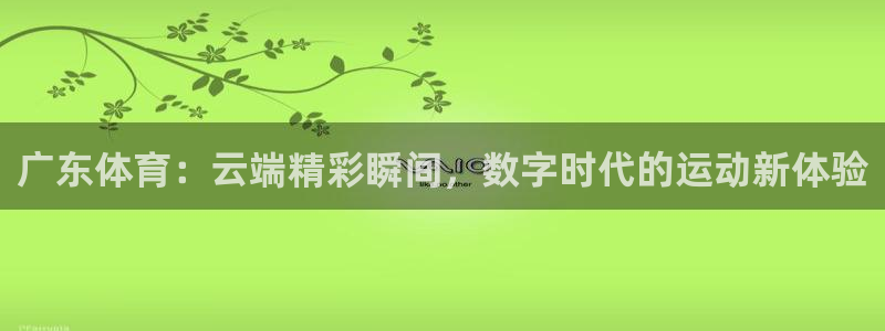 蓝鲸直播网球：广东体育：云端精彩瞬间，数字时代的运动新体验