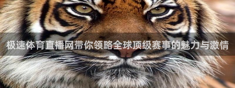 蓝鲸fm直播官网：极速体育直播网带你领略全球顶级赛事的魅力与激情