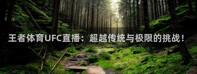 大蓝鲸：王者体育UFC直播：超越传统与极限的挑战！