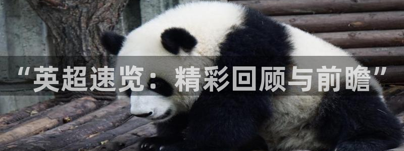 蓝鲸体育直播app：“英超速览：精彩回顾与前瞻”
