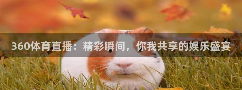 蓝鲸体育足球直播：360体育直播：精彩瞬间，你我共享的娱乐盛宴