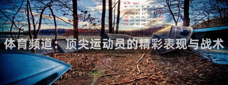 蓝鲸直播苹果下载：体育频道：顶尖运动员的精彩表现与战术